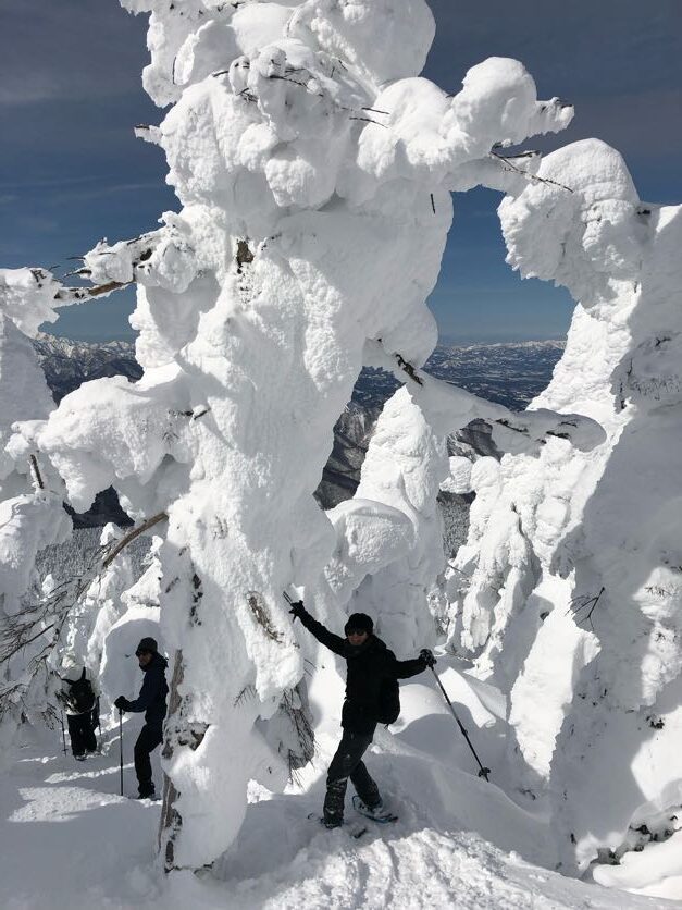 Hakkoda in Aomori, Moriyoshi in Akita, and Zao in Yamagata are often regarded as the three major locations where these natural wonders appear. But before deciding where to go, it makes sense to know what snow monsters actually are. Snow monster formations occur when Aomori Todomatsu, a type of fir tree, accumulates thick layers of snow and ice under specific winter conditions. In other words, these eerie shapes emerge wherever these fir trees thrive, and heavy snowfall occurs. Actually, when to go is more important than where to go, as the climate in Tohoku, the northern region of Japan’s largest island, tends to be harsh in mountainous areas during winter. As a businessperson, I don’t want to discourage you from joining my guided hikes, but I must be honest — sunny days with clear blue skies in February are rare, occurring fewer than ten times in each location. Real life is often a bit different from what you see on Instagram. My blog or YouTube is also from the best or better days.<br />
If my guests allow a three-day hunting period, I will arrange an accommodation in the middle of multiple snow monster locations — perhaps around Yonezawa in Yamagata or near Lake Tazawa in Akita. Since the weather varies between the Pacific side and the Sea of Japan side, as well as between northern and southern Tohoku, this approach increases the chances of catching favorable conditions.<br />
If good weather isn’t on our side, you can still enjoy snow hiking, skiing, or immersing yourself in the soothing waters of an onsen (hot spring). 01