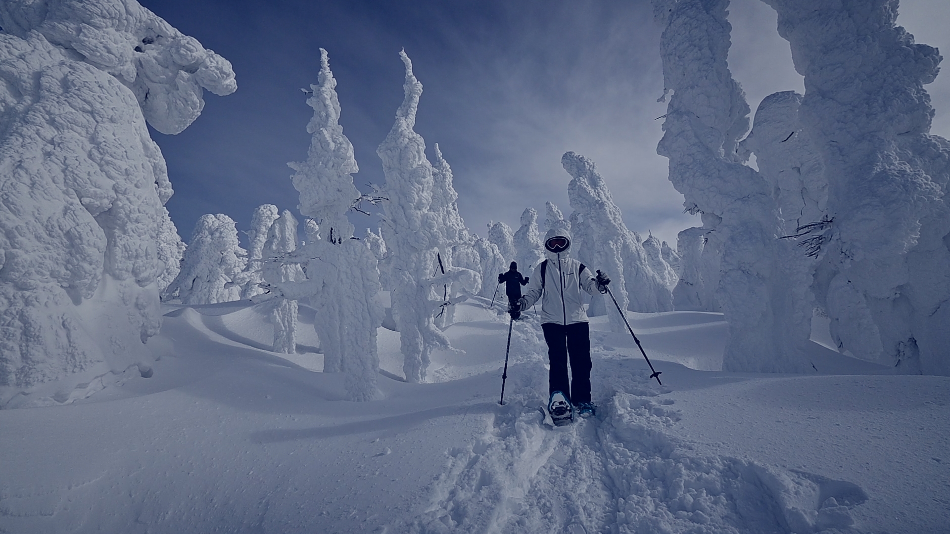 Snowshoe hiking to the snow monster