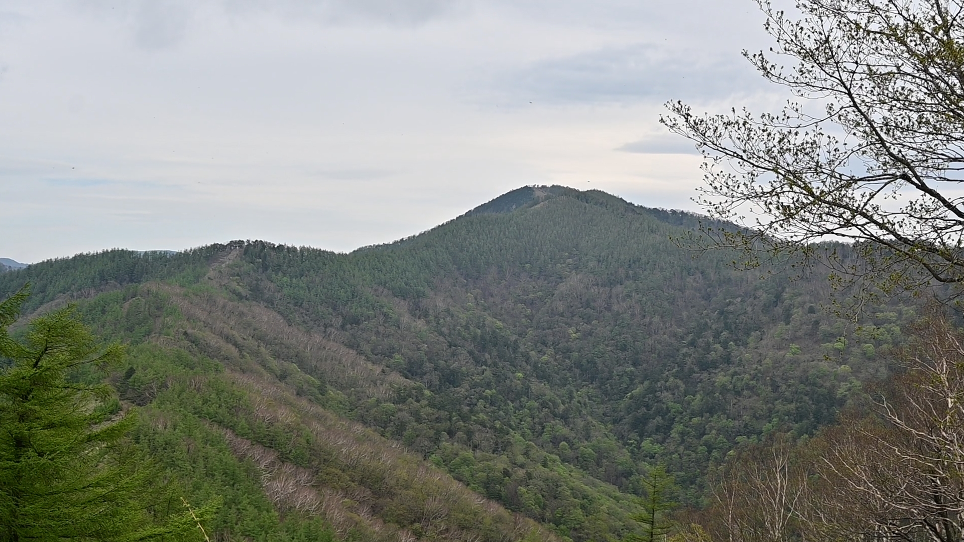 Mt. Kumotori stands at 2,017 meters above sea level, and a round-trip hike from the Kamosawa trailhead takes more than 10 hours. While a one-day hike is possible in summer when daylight is long, a two-day trek is highly recommended.<br />
<br />
Important Reminder: You must start hiking before noon, regardless of which route you take. It is also essential to reach your designated mountain hut safely before 4:00pm. After sunset, risks increase dramatically — losing your way or falling from the trail can quickly turn into a dangerous situation. 01