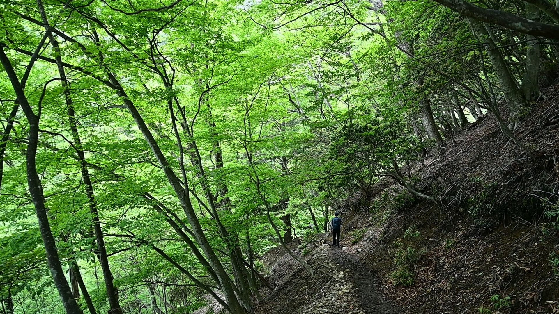 Tokyo’s Emerald — Hiking to Mt. Kumotori in Okutama