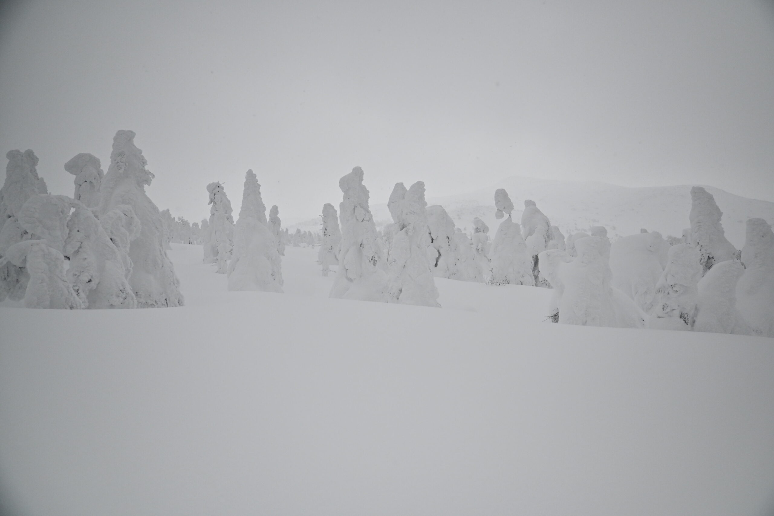 Hakkoda in Aomori, Moriyoshi in Akita, and Zao in Yamagata are often regarded as the three major locations where these natural wonders appear. But before deciding where to go, it makes sense to know what snow monsters actually are. Snow monster formations occur when Aomori Todomatsu, a type of fir tree, accumulates thick layers of snow and ice under specific winter conditions. In other words, these eerie shapes emerge wherever these fir trees thrive, and heavy snowfall occurs. Actually, when to go is more important than where to go, as the climate in Tohoku, the northern region of Japan’s largest island, tends to be harsh in mountainous areas during winter. As a businessperson, I don’t want to discourage you from joining my guided hikes, but I must be honest — sunny days with clear blue skies in February are rare, occurring fewer than ten times in each location. Real life is often a bit different from what you see on Instagram. My blog or YouTube is also from the best or better days.<br />
If my guests allow a three-day hunting period, I will arrange an accommodation in the middle of multiple snow monster locations — perhaps around Yonezawa in Yamagata or near Lake Tazawa in Akita. Since the weather varies between the Pacific side and the Sea of Japan side, as well as between northern and southern Tohoku, this approach increases the chances of catching favorable conditions.<br />
If good weather isn’t on our side, you can still enjoy snow hiking, skiing, or immersing yourself in the soothing waters of an onsen (hot spring). 02