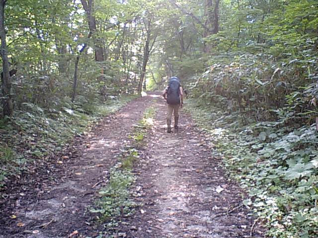 I have to mention the increasing risk of bear attacks, especially in Akita. A few years ago, I used to say that adventures like Sawanobori were relatively safe in Japan because there were no critically dangerous wild animals. But that is no longer true. The number of bear attacks has doubled this year, in 2025. There have been more than 200 reported attacks, and over 15 people have been killed.<br />
<br />
Several possible reasons have been suggested, for example, changes in mountain vegetation affecting the bears’ diet, or bears moving closer to villages as primary industries decline, but no one knows the exact cause. What is clear is that this trend will continue for at least the next few years. For that reason, I don’t recommend hiking alone in the Tohoku region, especially in Akita. The risk of a bear encounter is realistically high at any time. Those bears recognize you as their food recently. That's the fact I have to share with you. 02