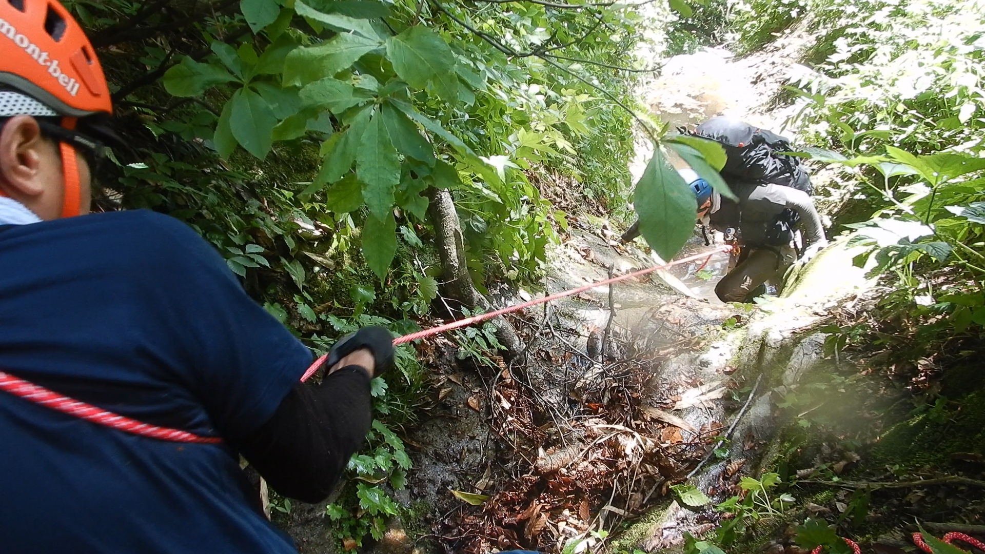 The next day, we climbed up the right tributary of the Akayumata to return to our entry point, but it turned into a real adventure. The final 500 meters to the ridge were especially tough, heavily overgrown with dense undergrowth and steep enough to require solid climbing skills, so it took us much longer than expected. Two of the four members were injured after the climbing section, and we finally made it back to the entry point around 8:00 PM, in the dark.<br />
<br />
Still, we made it out alive with only limited injuries. Given the circumstances, it was the greatest achievement we could have hoped for on such an adventure. 01